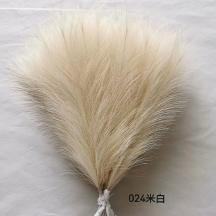 �F؛�羳��������˹�ݷ�����ë��c���߈@ˇ�����b��JȔë���l