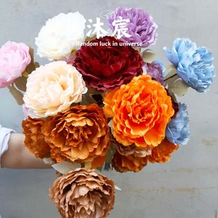 ����ĵ����3�^��ĵ����c��Y���bٻ� �͏d�[��������ˇ���컨