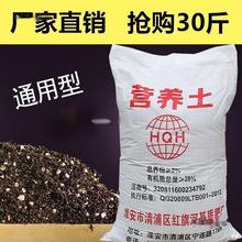 栽培土花艺蔬果茶花花土种树金线莲盆栽50斤桂花树椰糠砖营
