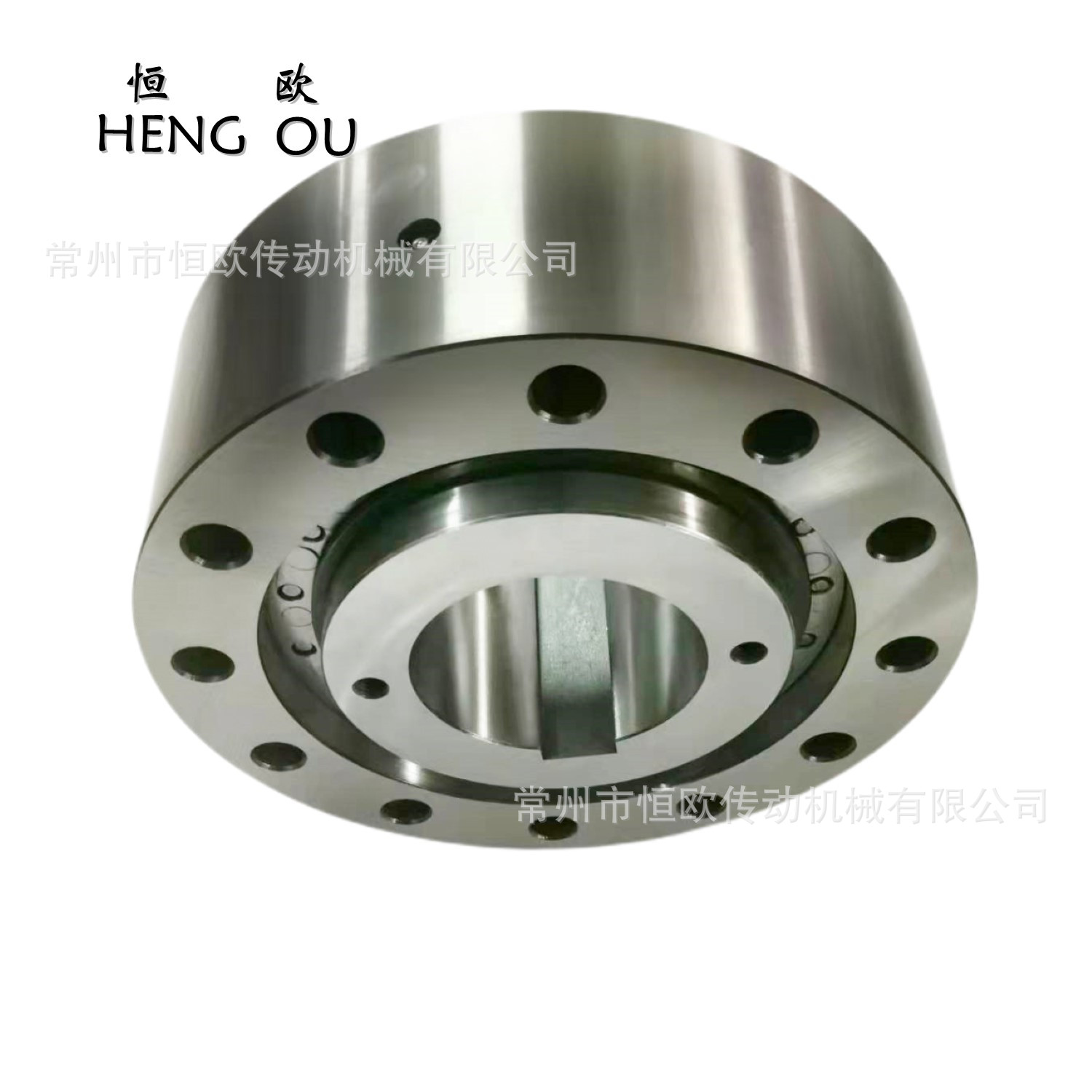 供应齿轮箱逆止器RSBI