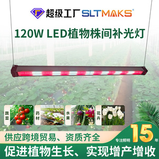Led Inter-Row Light Full-Spectrum Plant Growth Light Raspberry Blueberry Supplementary Light Low-Power Succulent Growth Light