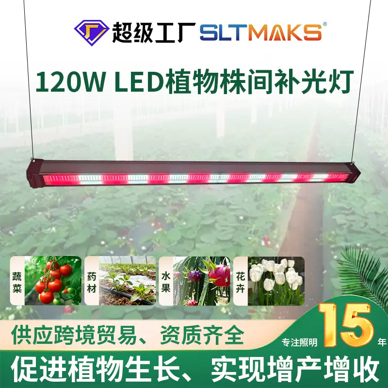 LED株间灯全光谱植物生长灯树莓蓝莓补光灯小功率多肉生长灯