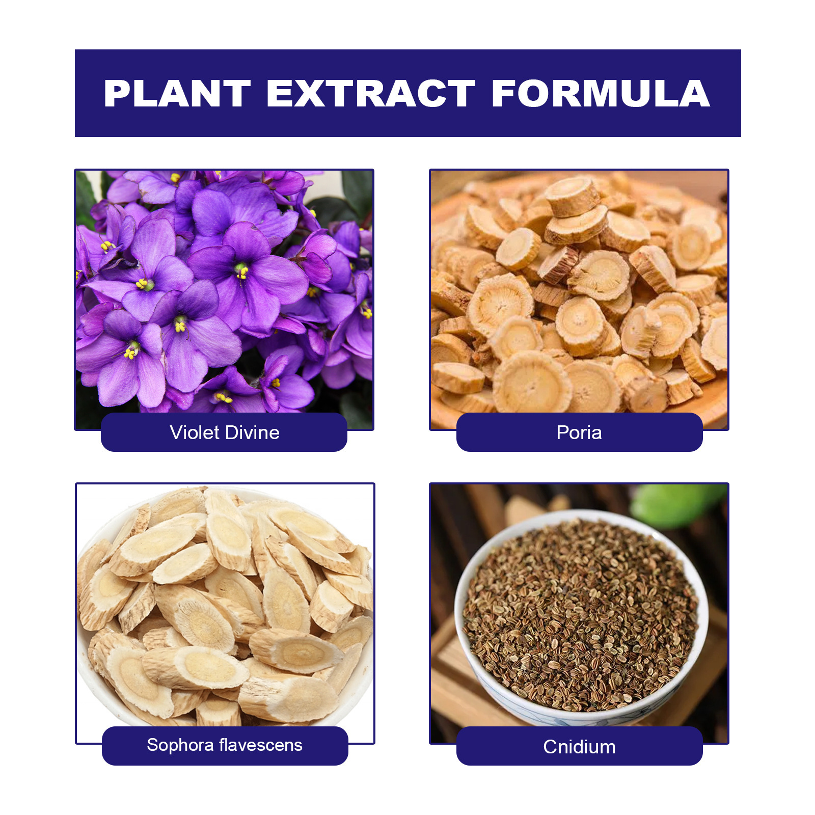 south moon紫花地丁皮膚止癢修護膏