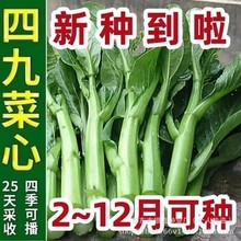 �V�|�ľŲ��ķN��25����������Ĳ�̦�Ѷ��Ӷร����ԭ�b�N�Ӵ�ȫ