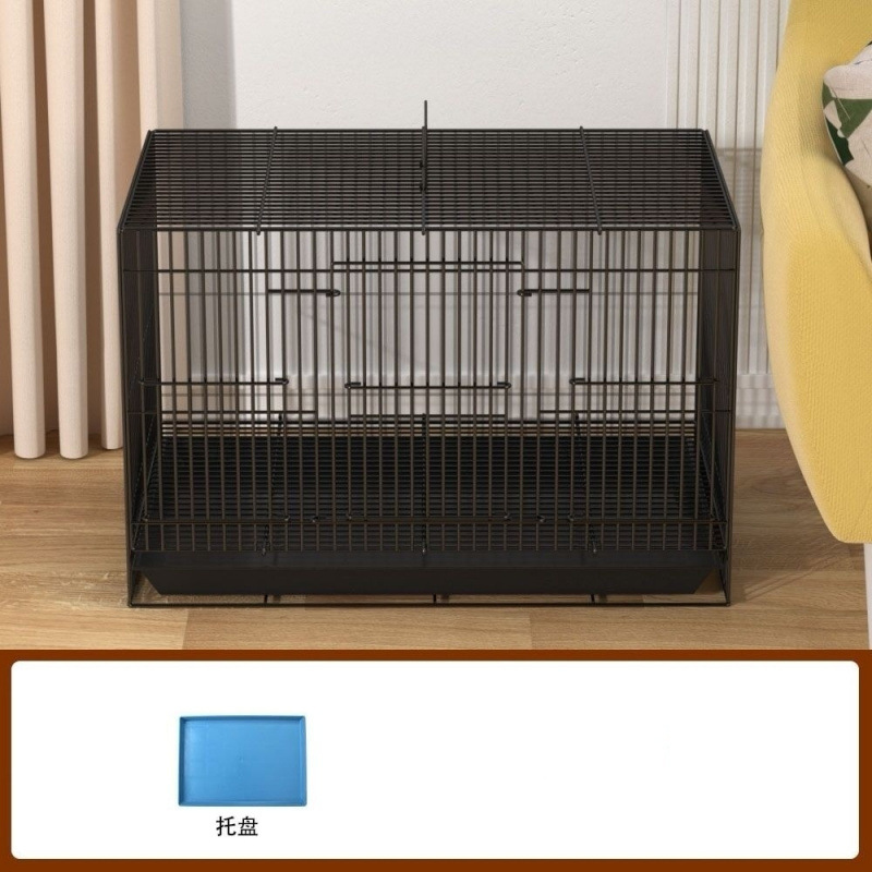 블랙 (점장 추천)