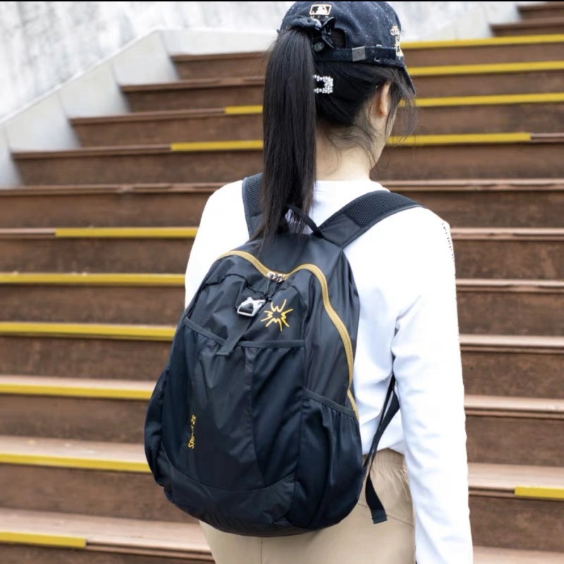 블랙/골드