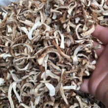 双剪香菇脚丝干货菇腿西峡特产香菇柄单双剪菇脚片丁丝厂家直销