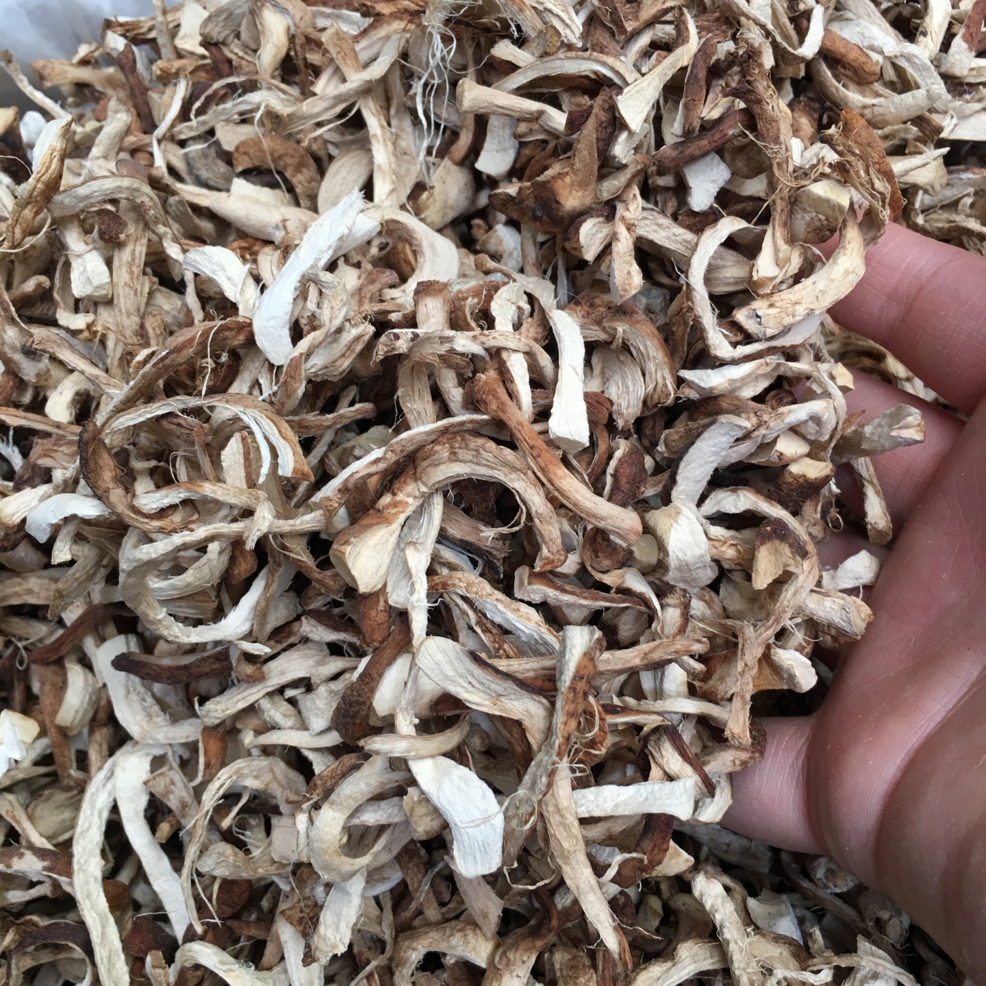双剪香菇脚丝干货菇腿西峡特产香菇柄单双剪菇脚片丁丝厂家直销
