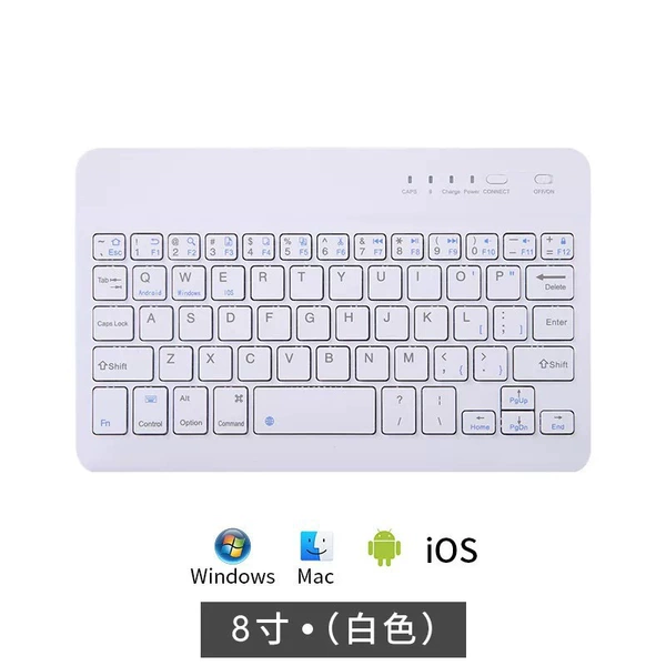 8 -inch white