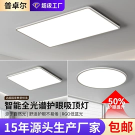 吸顶灯;吊灯;风扇灯