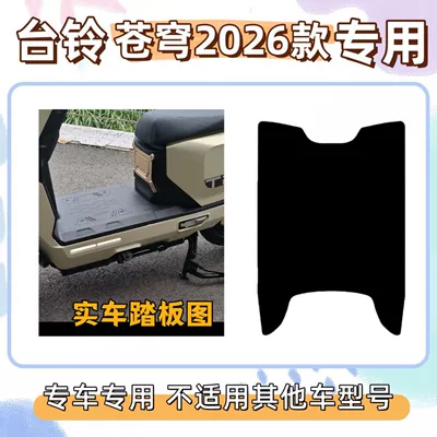 2026 Model Special Foot | Electric vehicle foot mat - pure-black-without-pictures-free-velcro-tailing-sky-2026-model