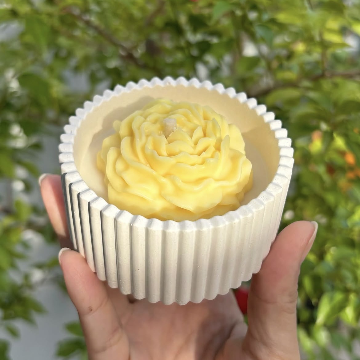 Flor de peonía amarilla (fragancia: osmanthus de Jiangnan)