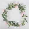 6 light pink rose vines