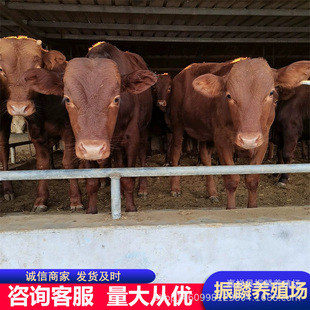 ��ľٝ������ţ�u����һ����ľٝţ��ţ�كr�� �F���Bֳ��