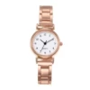 8110 iron belt gold white