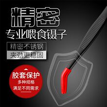 爬宠喂食弯头镊子乌龟鱼缸雷龙六角守宫角蛙仓鼠宠物防创伤硅胶套