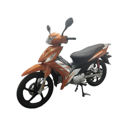 Climbing King Motorcycle, Motosikletlər