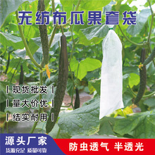 天天特卖无纺布套袋丝瓜防虫袋羊角蜜青瓜黄瓜保护袋防蜂果蝇套袋