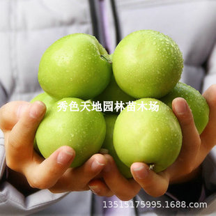 ����������̨��ţ�̴����������۽z���޽ӹ����箔��Y���ϱ����N