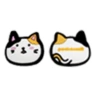 White + Orange Cute Cat