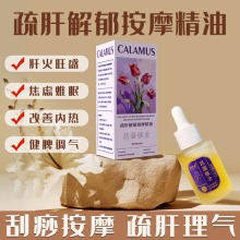 ��ν�����Ħ����ɽ���͸��Ƹλ���ʢʧ�߰l���B������������