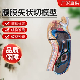 医药教学器材;生物教学器材
