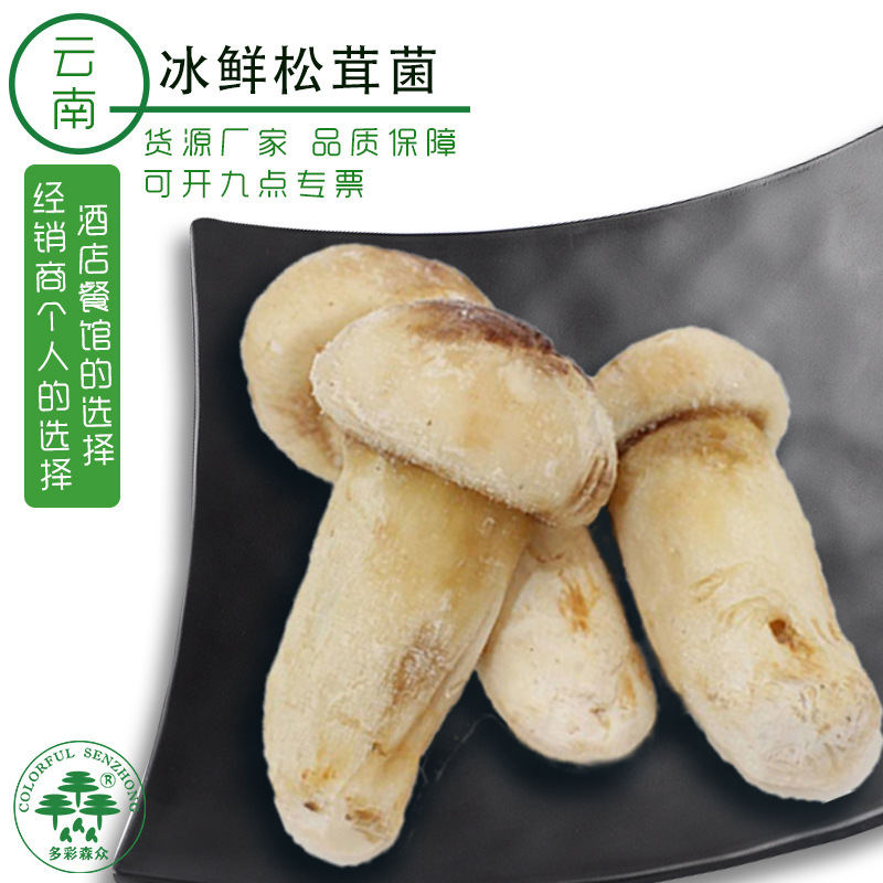 wholesale Shangri-La Matsutake Frozen Big head 5CM Above Yunnan wild Mushroom Quick-freeze Matsutake mushroom