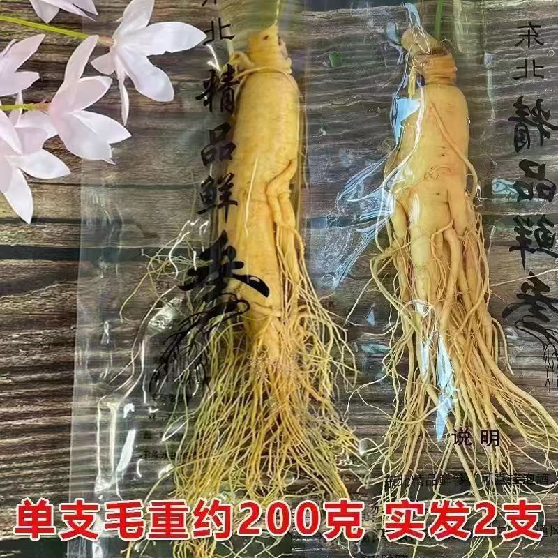 長白山人参鮮度保持参特大参泡酒煮湯滋補専用東北特産生参|undefined