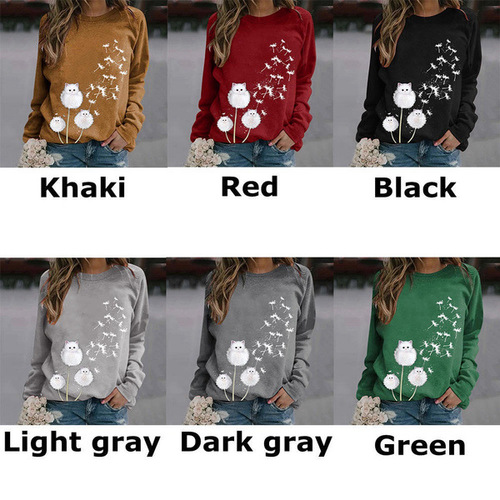 Autumn and winter new products, European and American printed casual loose pullover, long-sleeved women's clothes, tops, sweaters, women