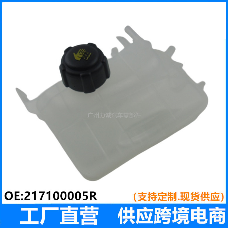 Cross-Border E-Commerce Foreign Trade Supply and Wholesale Suitable for Models Renault Auxiliary Water Tank with Cover 217100005R