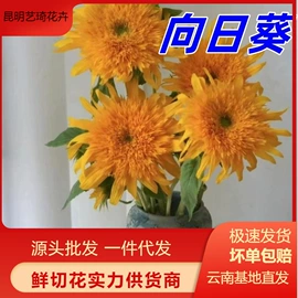 鲜切花