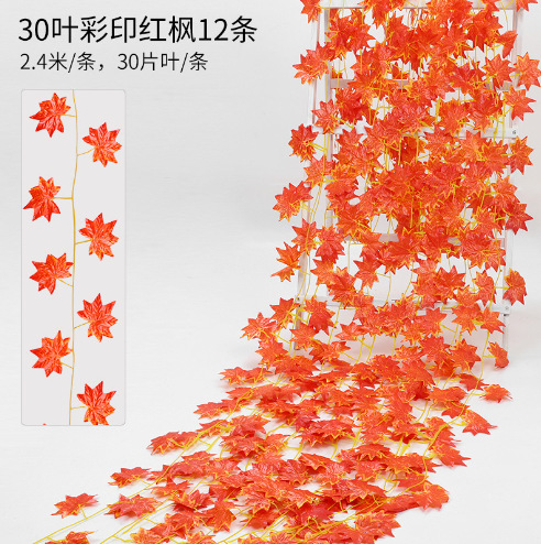 30잎 붉은 단풍나무 12팩
