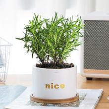 �Ե���������_�����K���ɿ�ʳ������ţ�������̨����ֲ�����