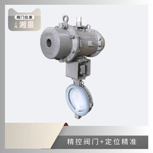 KOSO �����y 600M PN10 A216-WCB/PFA  PN10 250A �y�T�y�w������