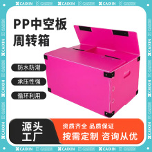 财鑫PP食品塑料包装中空周转箱折叠防水整理收纳循环瓦楞板搬家箱