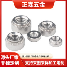 304���P䓉��T��ĸ���T�ݽzñ���T���A������ñM2.5M3M4M5M6����