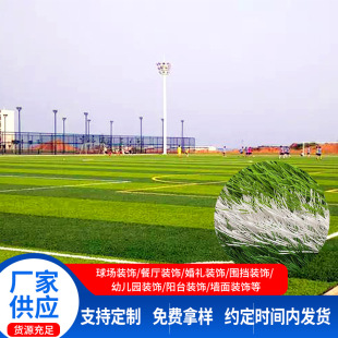 Football Field Artificial Turf Artificial Fake Turf Carpet Kindergarten Sports Outdoor Five-Seven-One Fake Turf