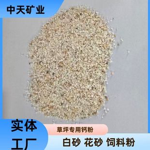 ��ɰ��ƺ����� �F؛���� ���� �մɌ��ð�ɰ ���B�����÷���ʯ��