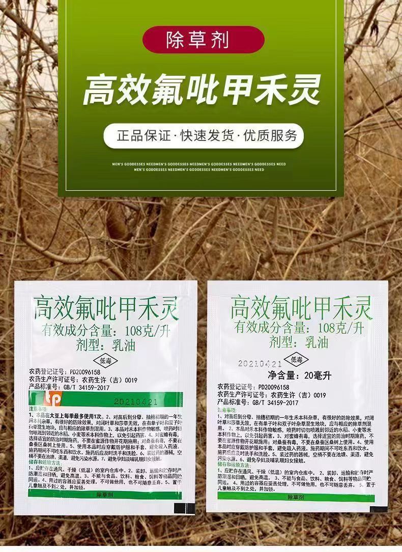 微信图片_20240711134413