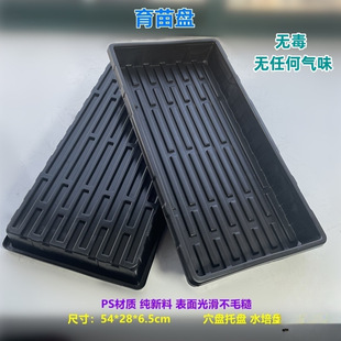 ���ܶ����Ѩ�P�бP��������Ѩ�������萞�B��Nֲ����P����