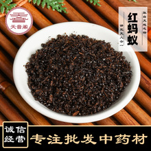 批发中药材 红蚂蚁 产地货源品种齐全 另有黑蚂蚁黄蚂蚁 量大从优