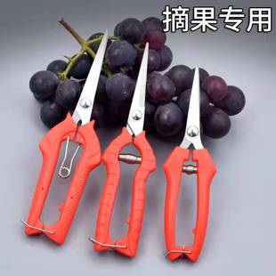 �S��ֱ�����P䓈@����֦������ϡ�����P���@ˇ���߼��^���@ժ����