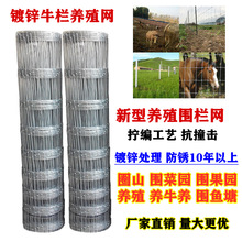 镀锌电焊养殖牛羊隔离网果园防护安全围栏圈菜园地网草原铁丝网