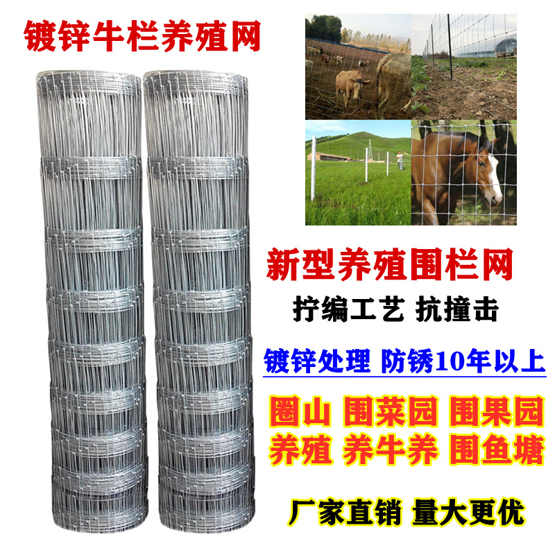 镀锌电焊养殖牛羊隔离网果园防护安全围栏圈菜园地网草原铁丝网