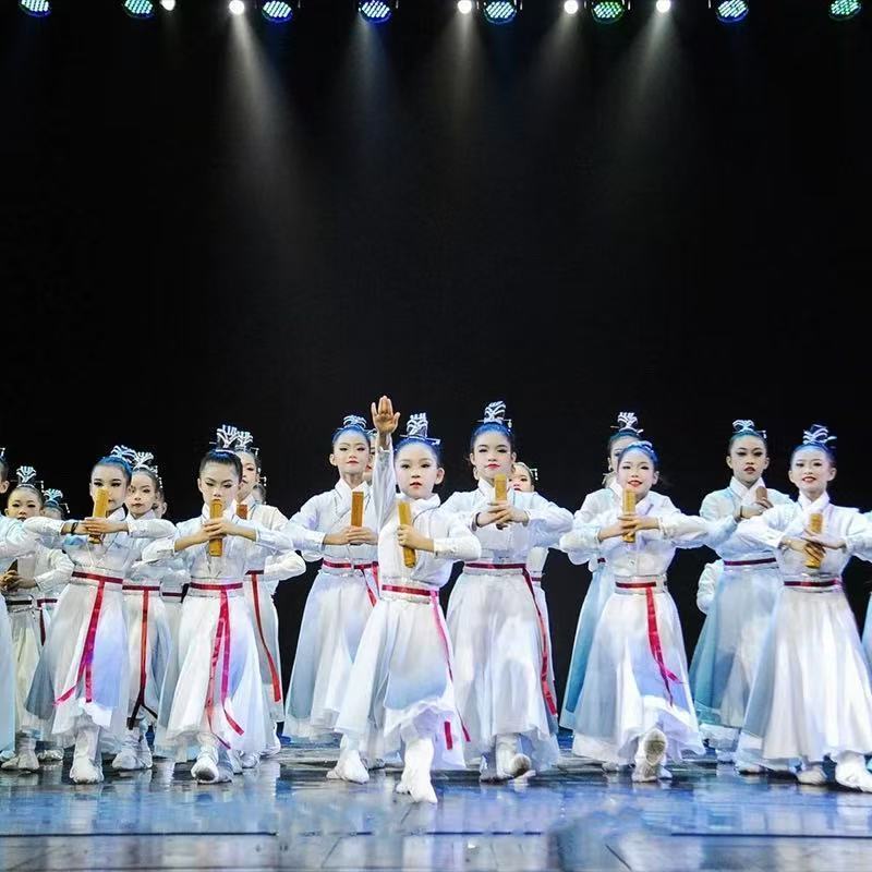 Classical Chinese Dance Performance Costume for Children and Youth: Ink Painting Hanfu for Chinese Classical Dance Recitation