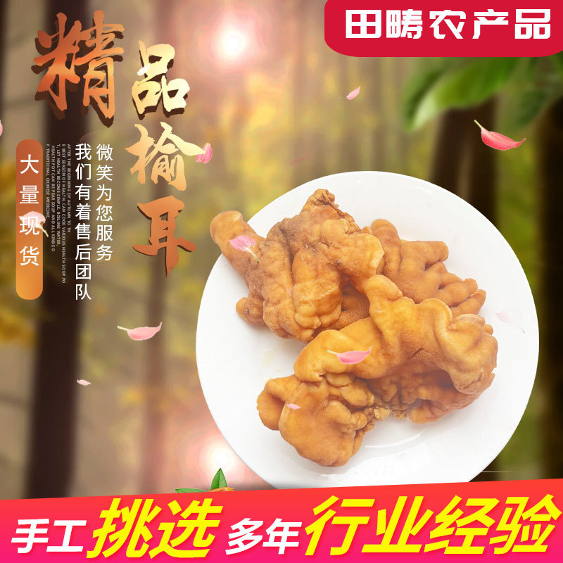 火锅食材干榆耳食用菌榆蘑干蘑菇泡发率高食用菌展会销售