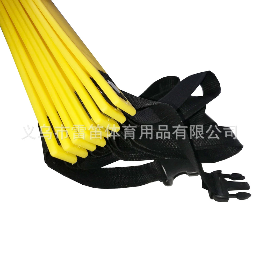 Flexible ladder, football set for training, equipment for gym