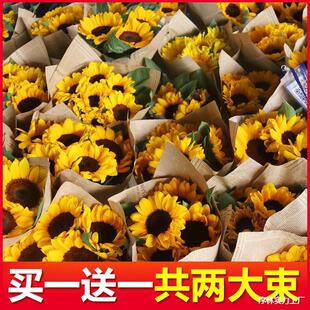 Sunflower Flowers Direct from Yunnan Base, Multi-Headed Roses, Small Daisies, Carnations, Lisianthus Real Flowers Wholesale Supplier