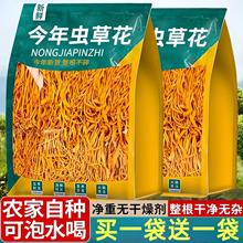 【包邮】虫草花新鲜干货北虫草金菇煲汤材料羊肚竹荪野生包邮