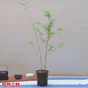 �t���^��������Gֲ�辰����ͥԺ�̨С�t�������������������҃�